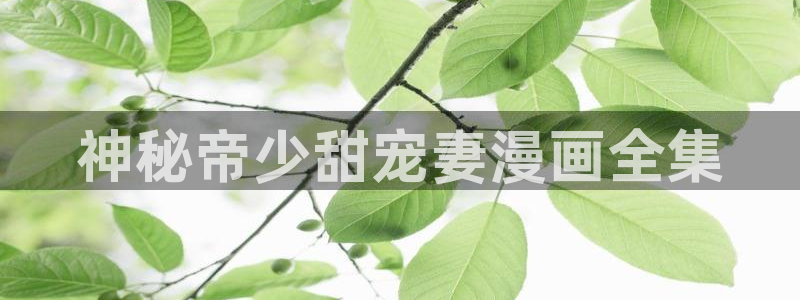 汗汗漫画在线观看网站：神秘帝少甜宠妻漫画全集