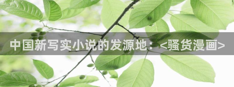 汗汗漫画官方入口：中国新写实小说的发源地：<骚货漫画>