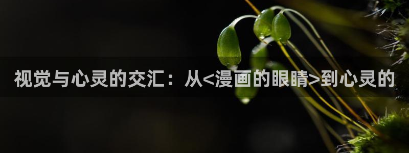 汗汗漫画页面入口：视觉与心灵的交汇：从<漫画的眼睛>到心灵的