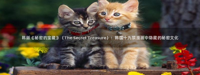 汗汗漫画官方网站：韩版《秘密的宝藏》（The Secret Treasure）：韩国十九禁漫画中隐藏的秘密文化