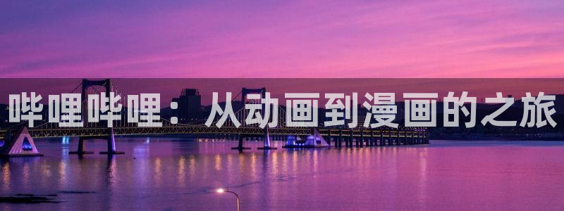 汗汗漫画网：哔哩哔哩：从动画到漫画的之旅