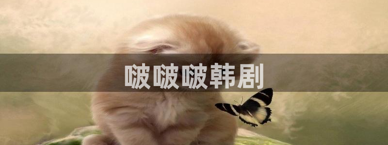 汗汗漫画免费在线看：啵啵啵韩剧
