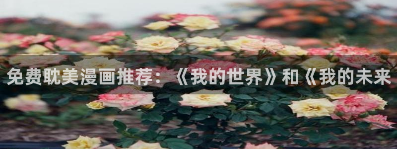 韩漫汗汗漫画网：免费耽美漫画推荐：《我的世界》和《我的未来
