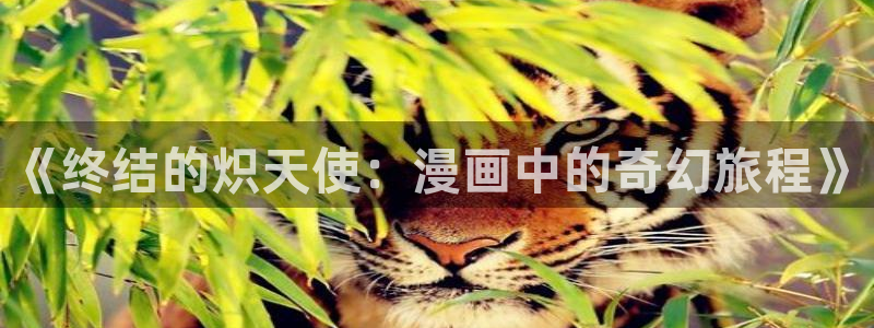 汗汗漫画全部：《终结的炽天使：漫画中的奇幻旅程》