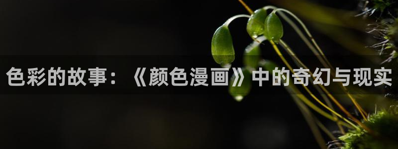 汗汗漫画手机版网：色彩的故事：《颜色漫画》中的奇幻与现实