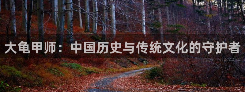 羞羞漫画～汗汗漫画av在线观看：大龟甲师：中国历史与传统文化的守护者