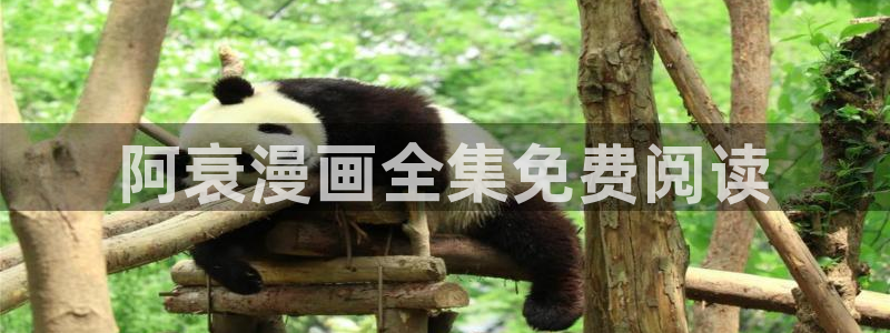 汗汗漫画官网