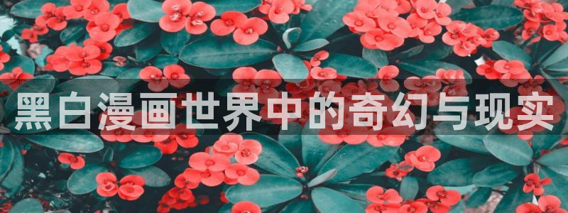 汗汗漫画免费首页